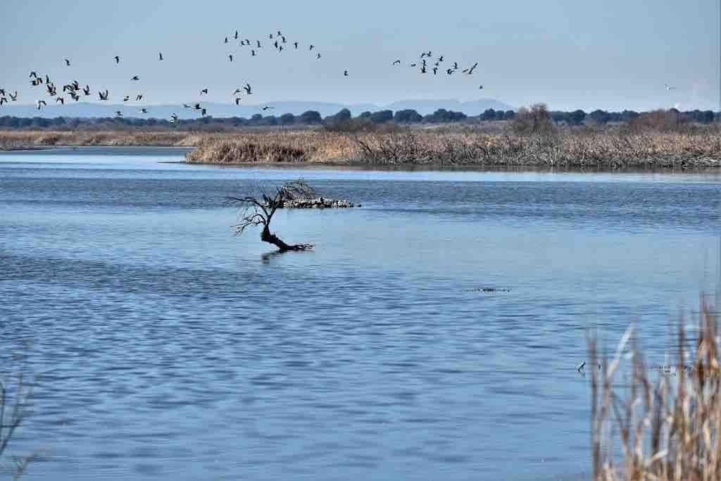 Apto. Singular En La Mancha Banco De Inversiones Argamasilla De Alba Bagian luar foto
